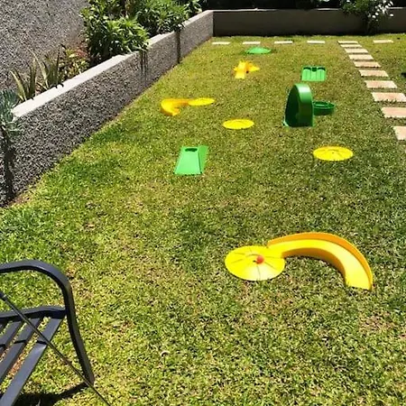 Casa Da Arvore Im Eukalyptuswald