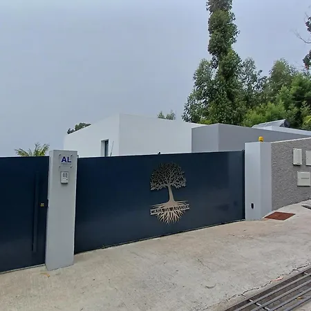 Casa Da Arvore Im Eukalyptuswald