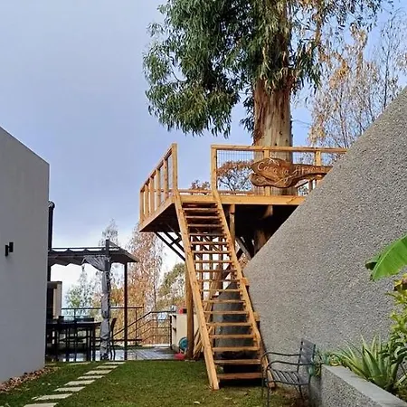 Casa Da Arvore Im Eukalyptuswald