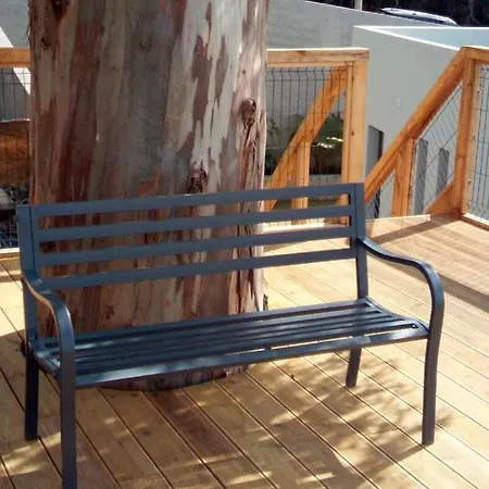 Casa Da Arvore Im Eukalyptuswald