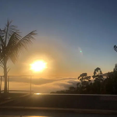 Casa Da Arvore Im Eukalyptuswald