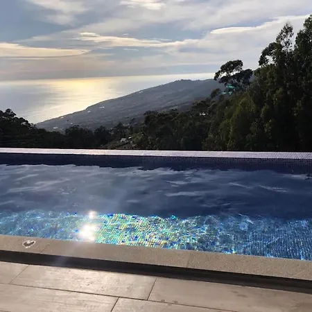 Casa Da Arvore Im Eukalyptuswald *