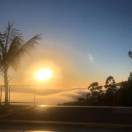 Casa Da Arvore Im Eukalyptuswald * Cova do Moirao