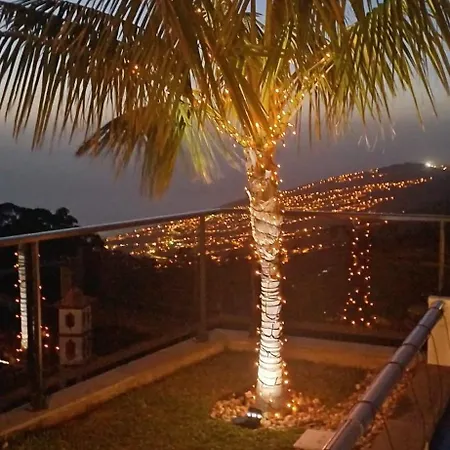 Βίλα Casa Da Arvore Im Eukalyptuswald *