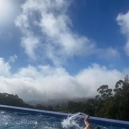 Casa Da Arvore Im Eukalyptuswald *