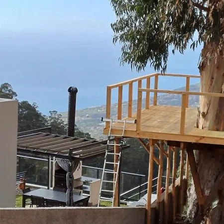 Βίλα Casa Da Arvore Im Eukalyptuswald Cova do Moirao