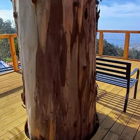 Casa Da Arvore Im Eukalyptuswald Βίλα *