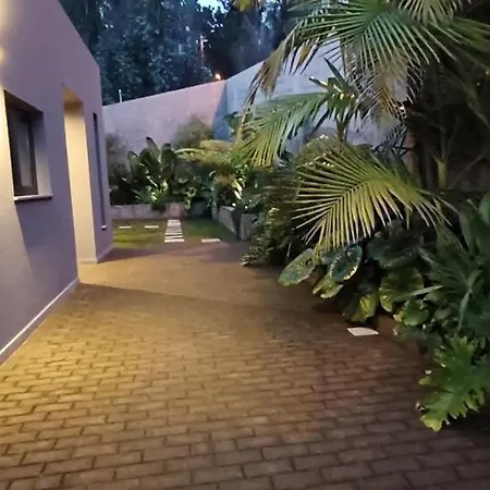 Casa Da Arvore Im Eukalyptuswald Βίλα