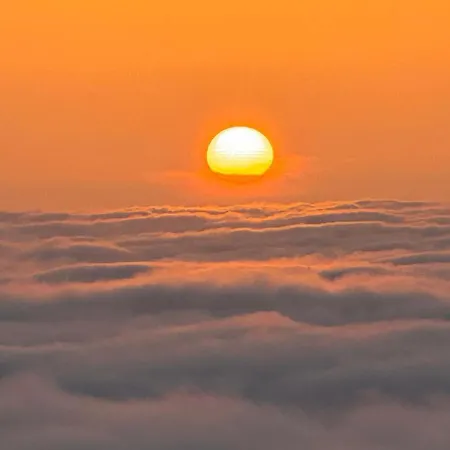 Casa Da Arvore Im Eukalyptuswald Villa