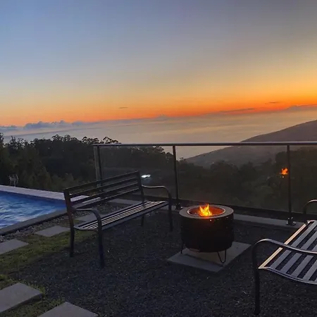 Casa Da Arvore Im Eukalyptuswald