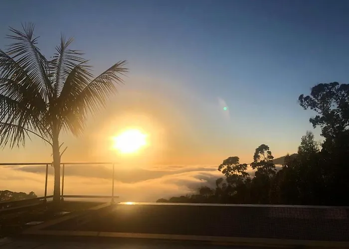 Casa Da Arvore Im Eukalyptuswald * Cova do Moirao