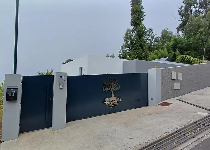 Casa Da Arvore Im Eukalyptuswald