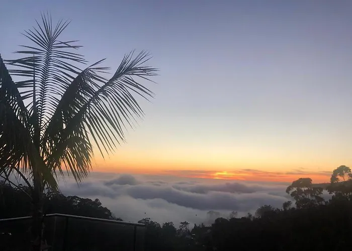 Casa Da Arvore Im Eukalyptuswald Villa Cova do Moirao