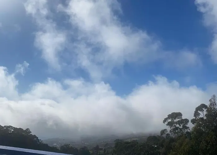 Casa Da Arvore Im Eukalyptuswald *