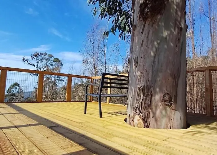 Villa Casa Da Arvore Im Eukalyptuswald *