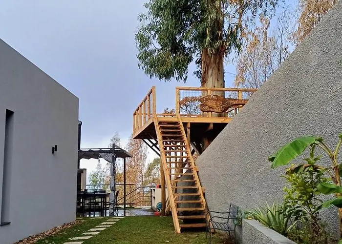 Casa Da Arvore Im Eukalyptuswald