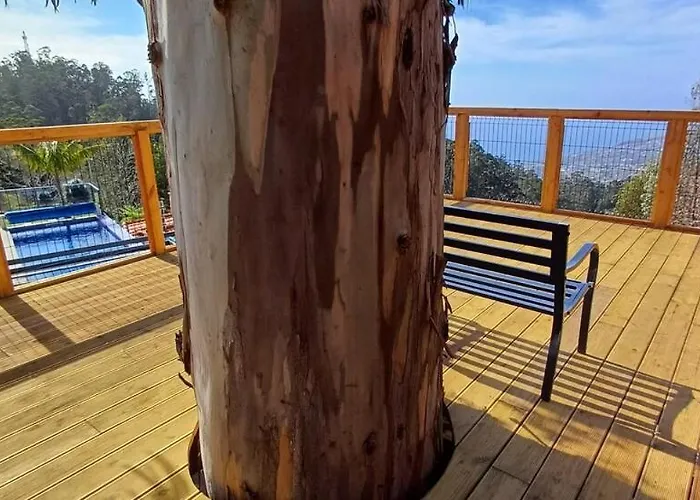 Casa Da Arvore Im Eukalyptuswald Villa *