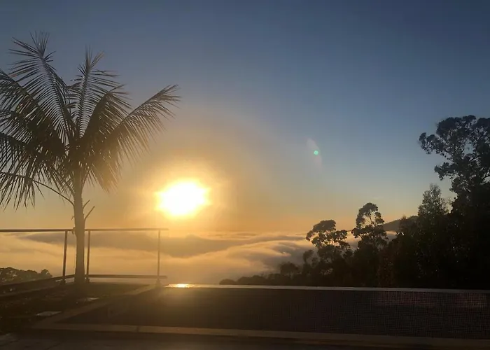 Casa Da Arvore Im Eukalyptuswald