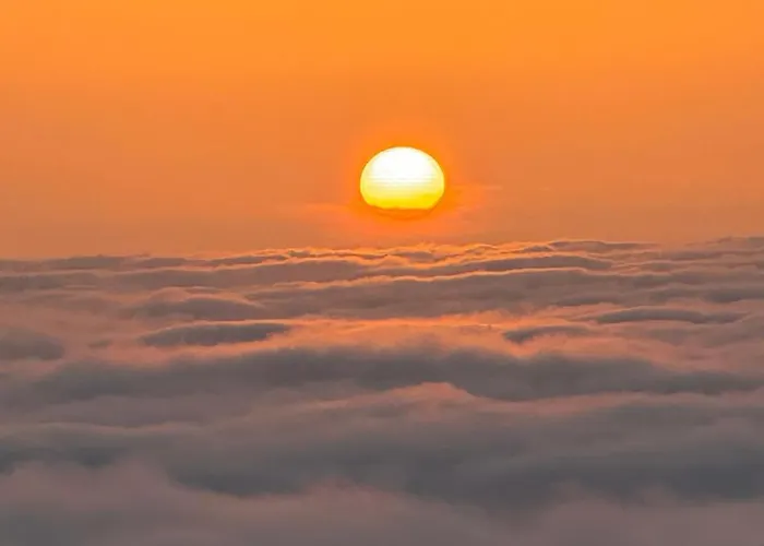 Casa Da Arvore Im Eukalyptuswald Villa