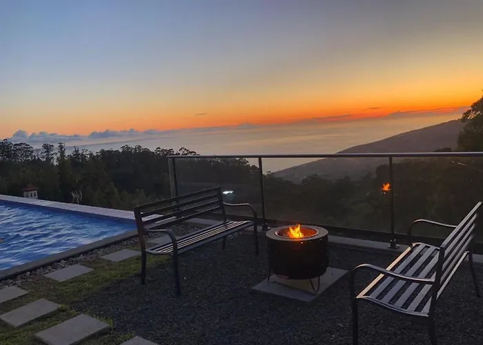 Casa Da Arvore Im Eukalyptuswald